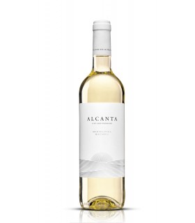 Viña Alcanta Blanco